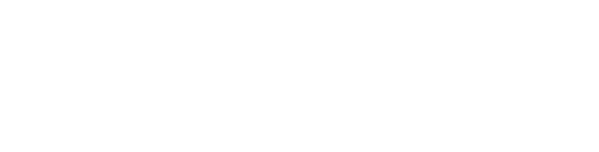 Shaping Lives